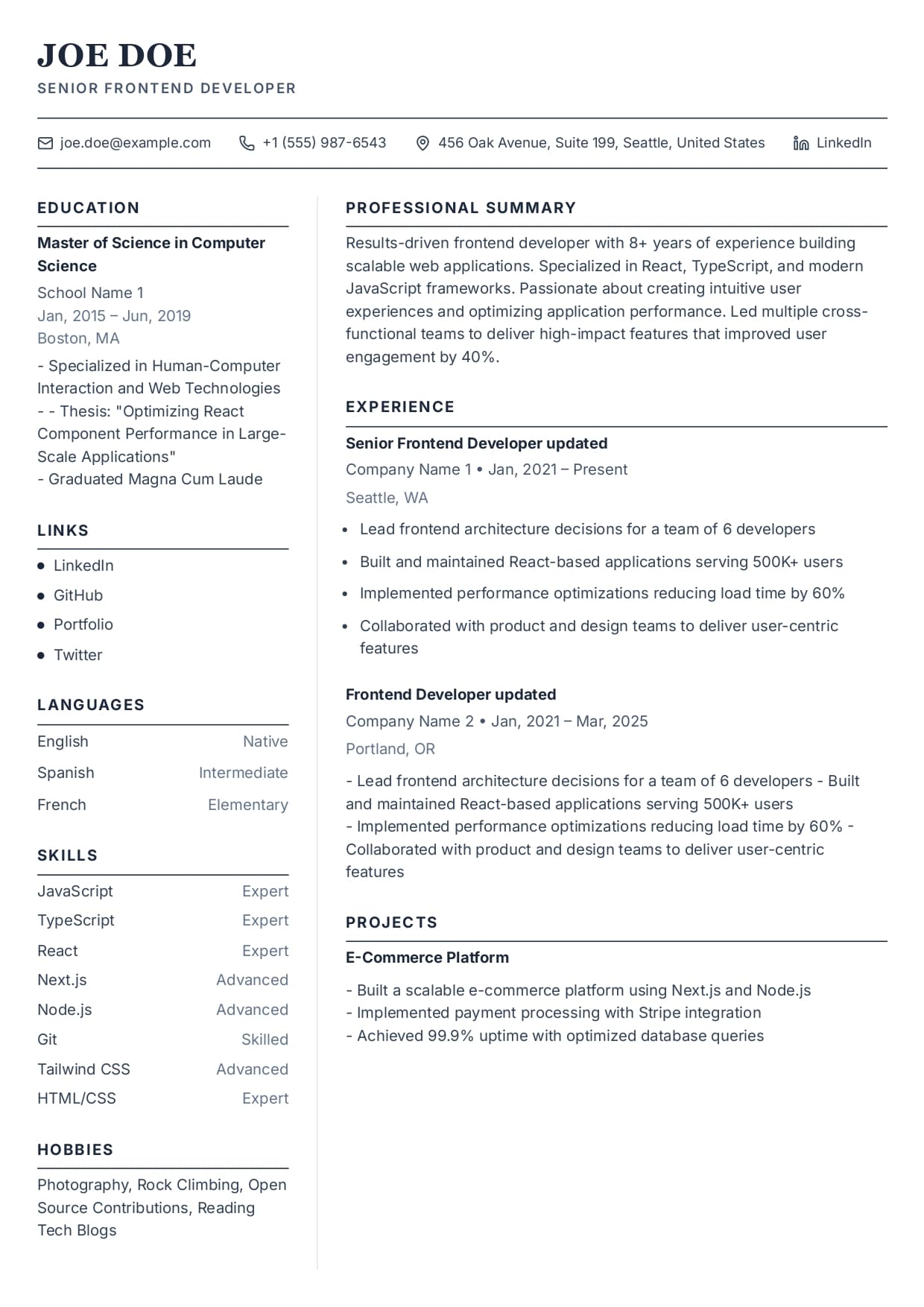 Classic Professional resume template preview